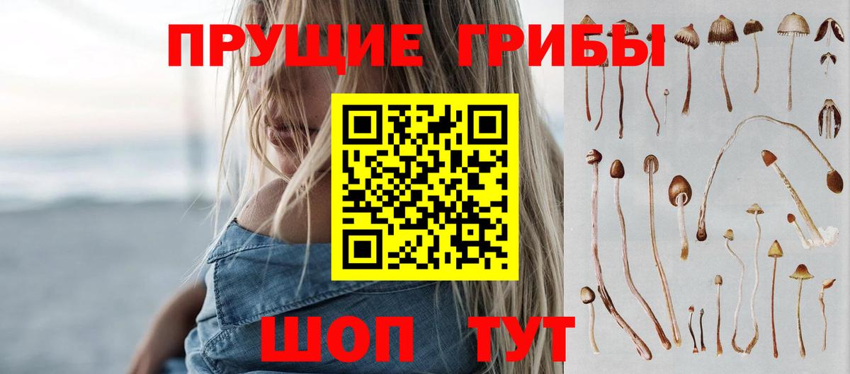 Галлюциногенные грибы GOLDEN TEACHER  купить  сайты  Кисловодск  Псилоцибиновые грибы GOLDEN TEACHER  Вход с VPN 